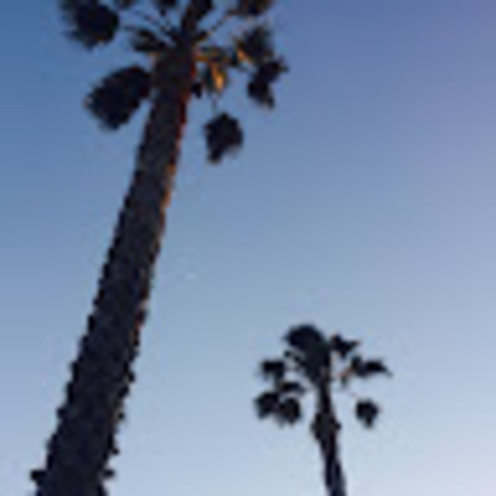 Meet your Posher, Elaine